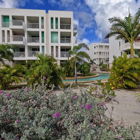 Chogogo Dive & Beach Resort Bonaire Kralendijk na wyspie Bonaire Zewnętrze zdjęcie