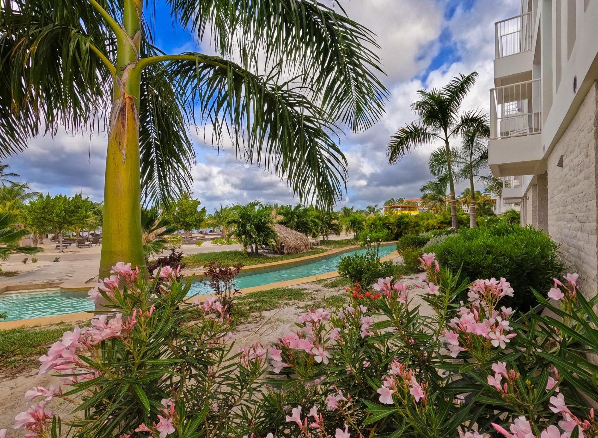 Chogogo Dive & Beach Resort Bonaire Kralendijk na wyspie Bonaire Zewnętrze zdjęcie