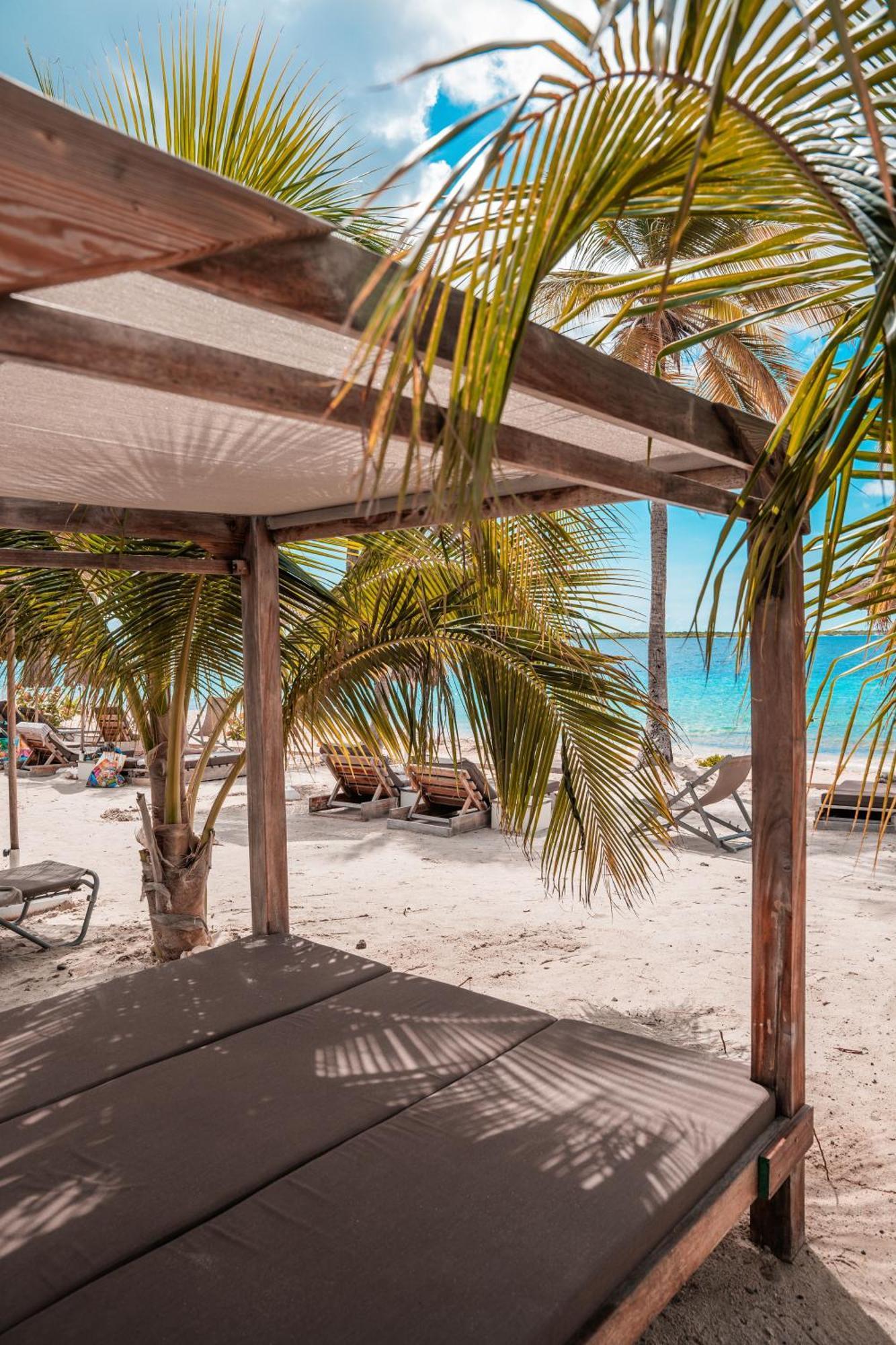Chogogo Dive & Beach Resort Bonaire Kralendijk na wyspie Bonaire Zewnętrze zdjęcie