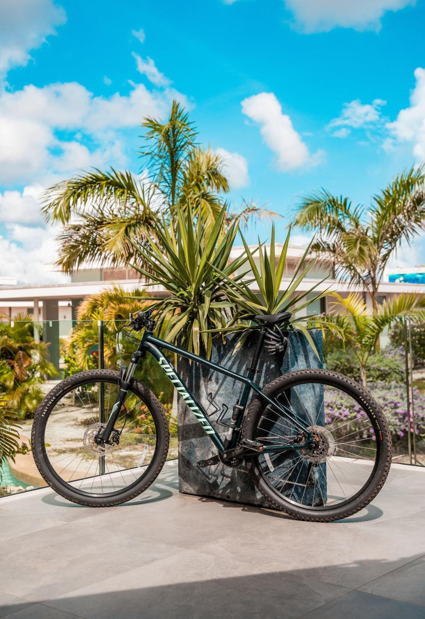 Chogogo Dive & Beach Resort Bonaire Kralendijk na wyspie Bonaire Zewnętrze zdjęcie