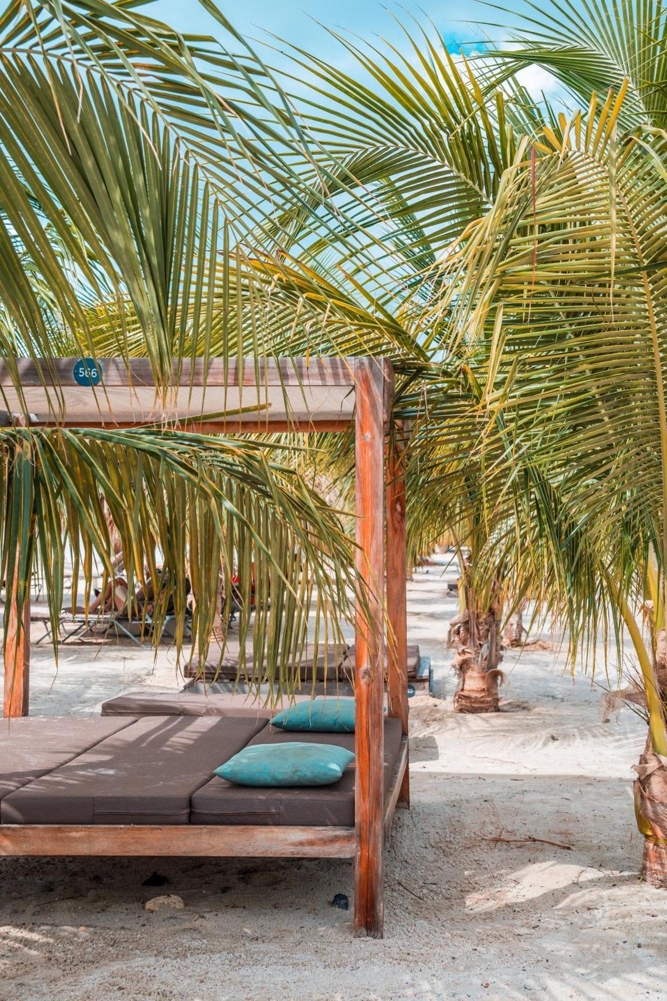 Chogogo Dive & Beach Resort Bonaire Kralendijk na wyspie Bonaire Zewnętrze zdjęcie