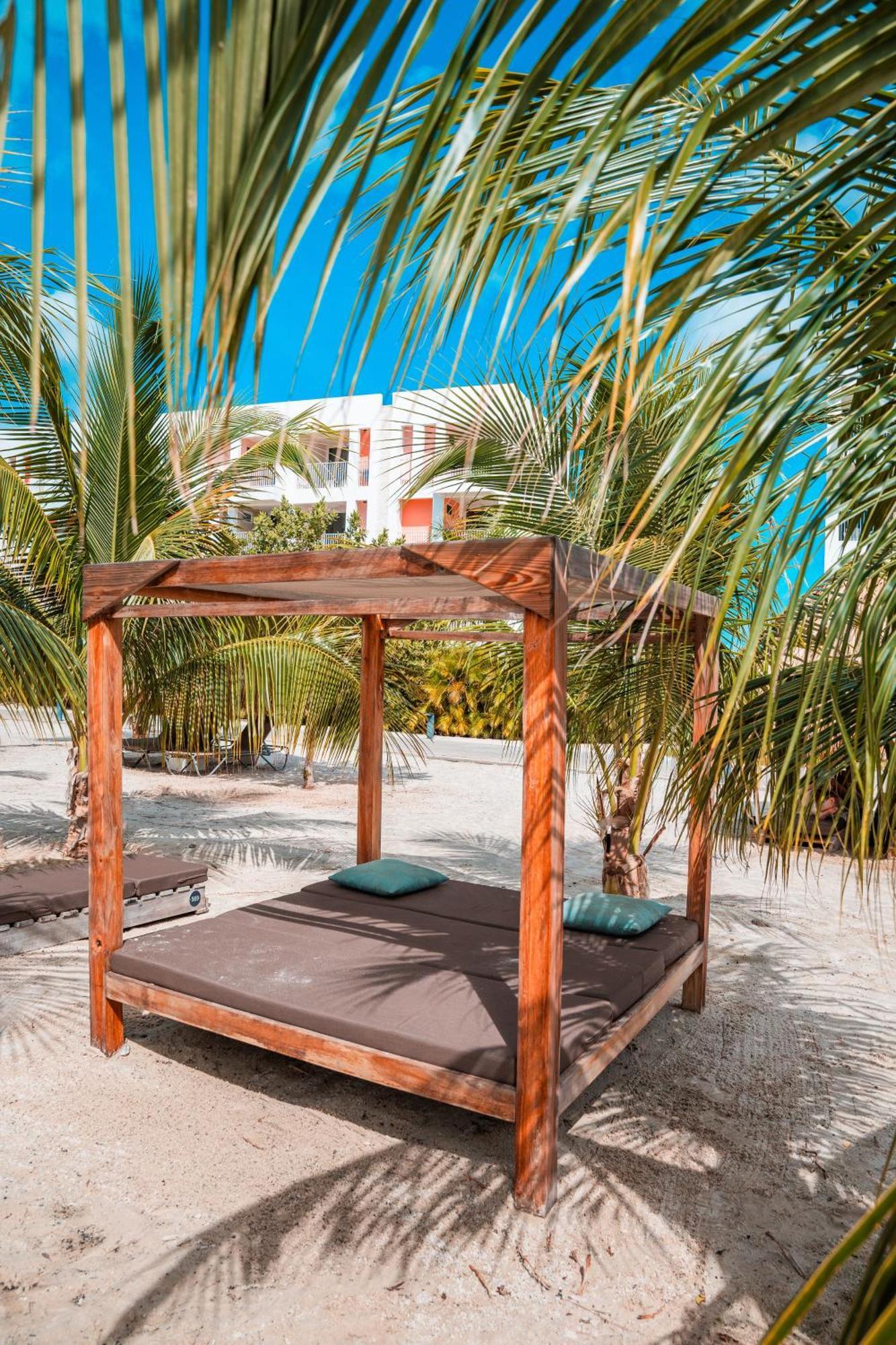 Chogogo Dive & Beach Resort Bonaire Kralendijk na wyspie Bonaire Zewnętrze zdjęcie